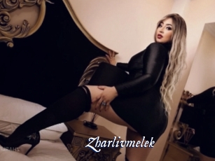 zharlivmelek Cam 5