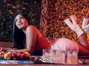 Zoeignatu